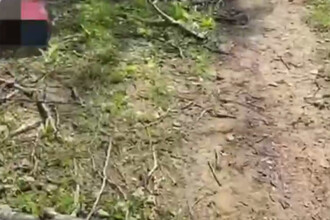 В Дмитрове питбайкер чудом избежал смерти после нападения с проволокой