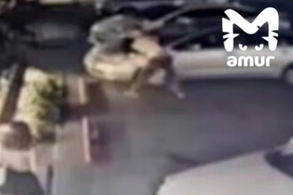 Неразрешенный конфликт: Драка и повреждение автомобиля в Артеме