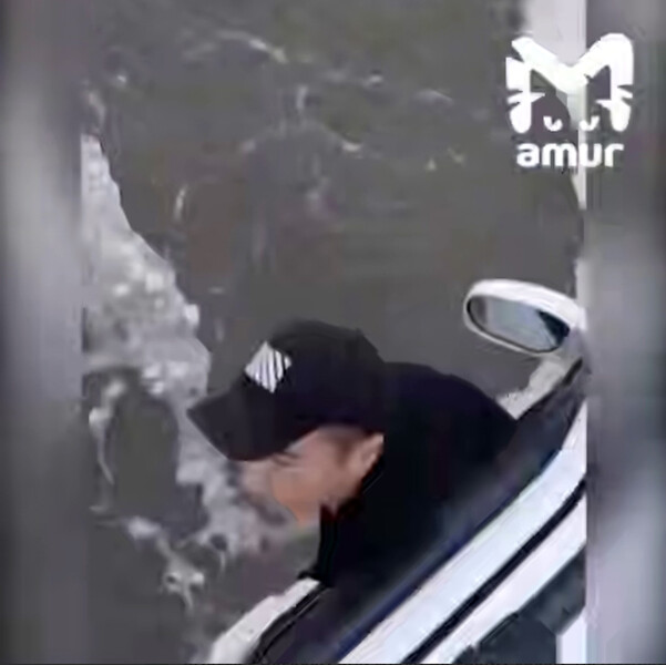 В Камчатском море разыгралась стихия: масштабная волна атаковала автомобиль