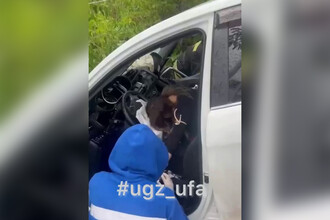 ДТП в Уфе и Краснодарском крае: Спасатели оперативно реагируют на последствия аварий