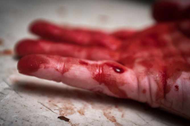 Трагический случай в США: Пятилетняя девочка стала свидетельницей семейного убийства