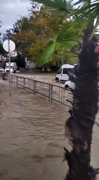 Сложные условия на дорогах Сочи: подтопление и авария из-за упавшего дерева