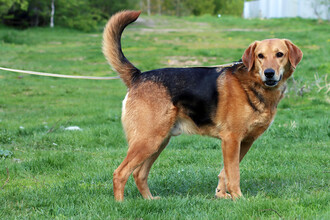 Фестиваль ‘Беги за Другом’: Большое благотворительное событие в Парке Кузьминки