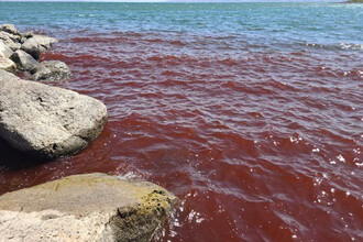 Красное море: Библейская символика и научное объяснение