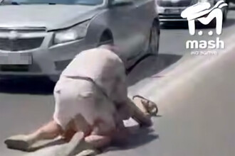 Жестокие ДТП и драки: Новые случаи агрессии на дорогах