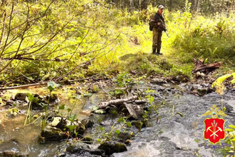 В Республике Алтай нашли школьника, заблудившегося во время сбора шишек