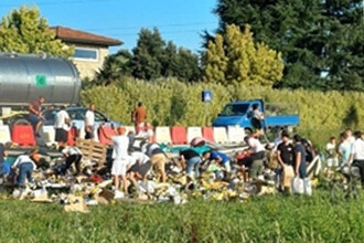 Необычные инциденты с грузовиками: как пиво оказывалось на дорогах