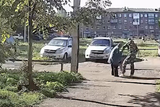 Жестокость на улице: В Нефтекамске на пожилую женщину напали с собакой