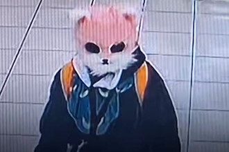 Необычный инцидент в Южной Корее: Женщина в кошачьей маске и ножах вызвала панику в супермаркете