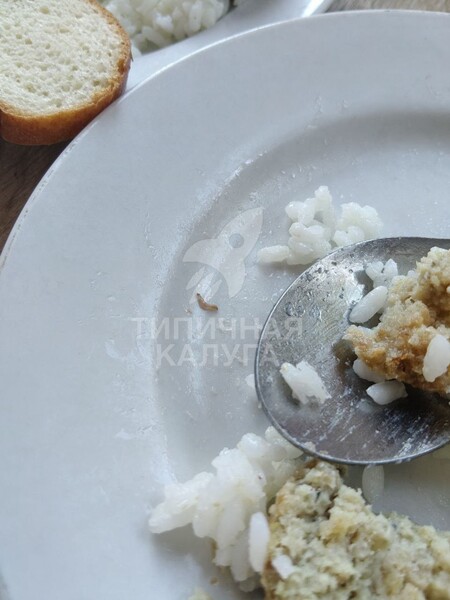 Серьезные нарушения в школьном питании: От опарышей в каше до червей в конфетах