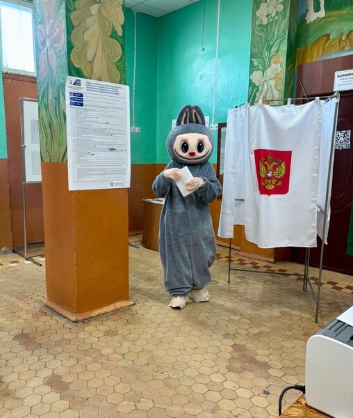 Необычные гости на избирательных участках: челябинский лабуш и новгородская гимназистка