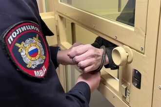 Задержание иностранца в России: новые детали и международный контекст